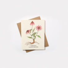 Load image into Gallery viewer, Plantable Wildflower Seed Card - Small Victories