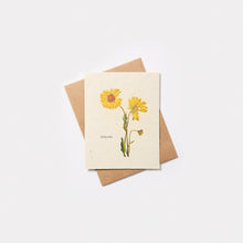 Load image into Gallery viewer, Plantable Wildflower Seed Card - Marissa Kay