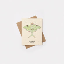 Load image into Gallery viewer, Plantable Wildflower Seed Card - Small Victories