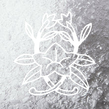 Load image into Gallery viewer, Bulk Oxygen Brightener (per oz)