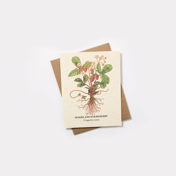 Plantable Wildflower Seed Card - Small Victories