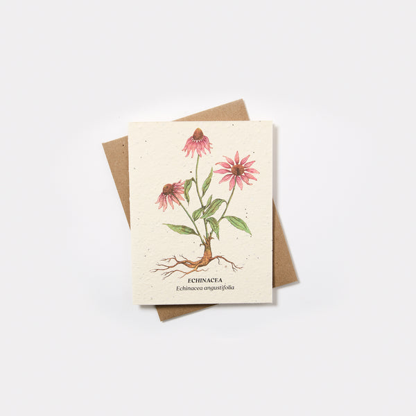 Plantable Wildflower Seed Card - Small Victories