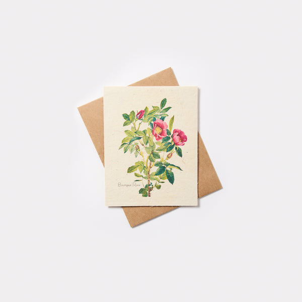 Plantable Wildflower Seed Card - Marissa Kay