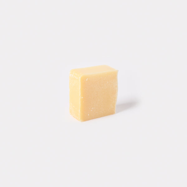 Mini Dish Block - Citrus Lemongrass