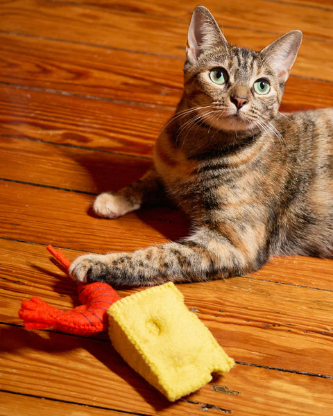 Felted Wool Cat Toy