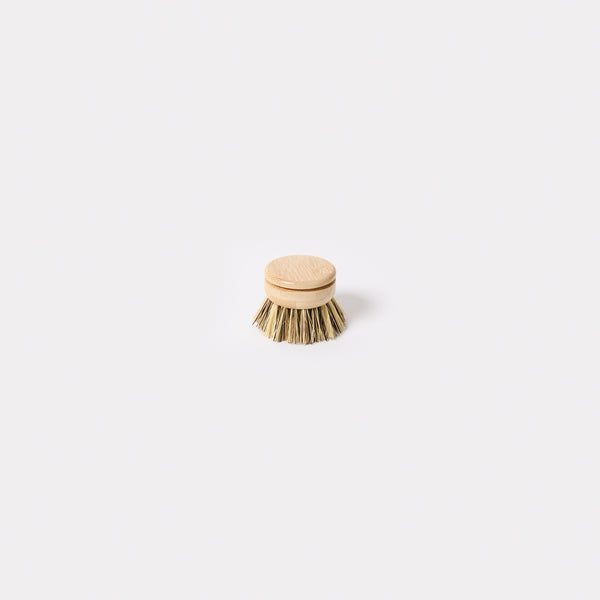 Long Handle Dish Brush Replacement Head