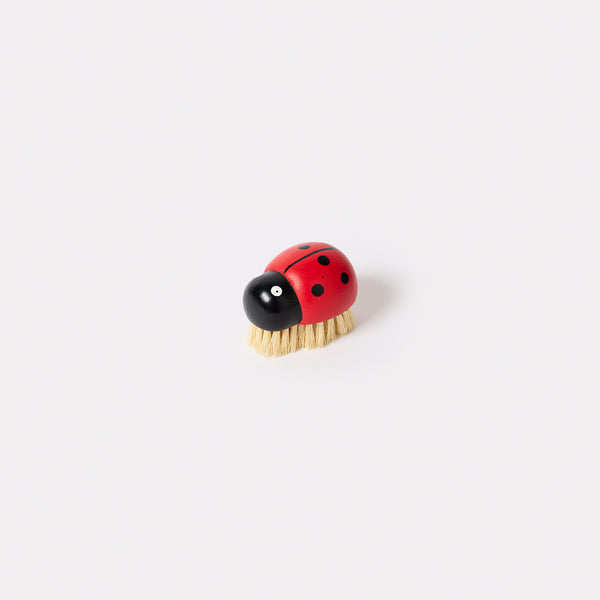 Ladybug Scrub Brush