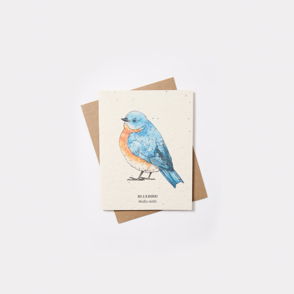 Plantable Wildflower Seed Card - Small Victories