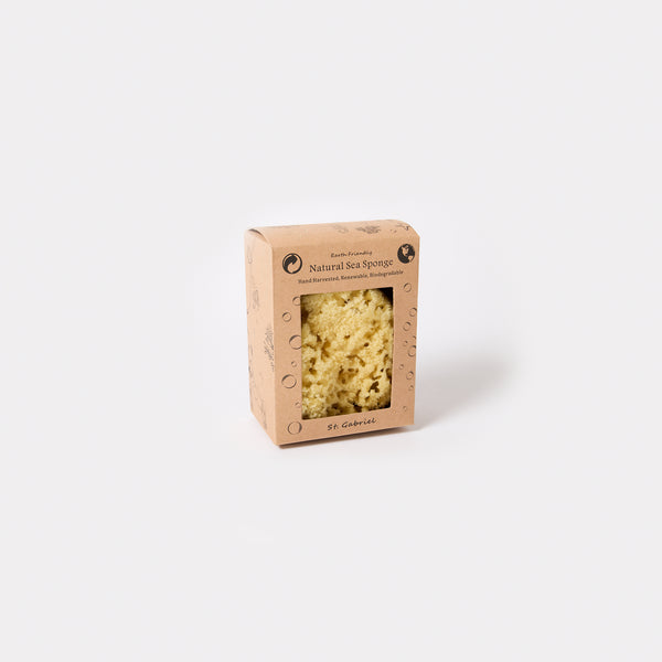 Natural Sea Sponge
