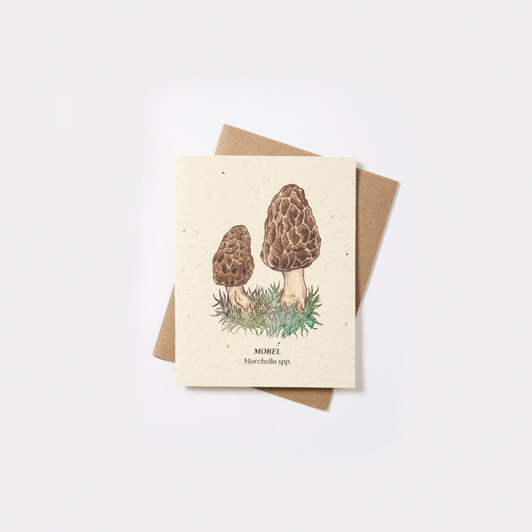 Plantable Wildflower Seed Card - Small Victories