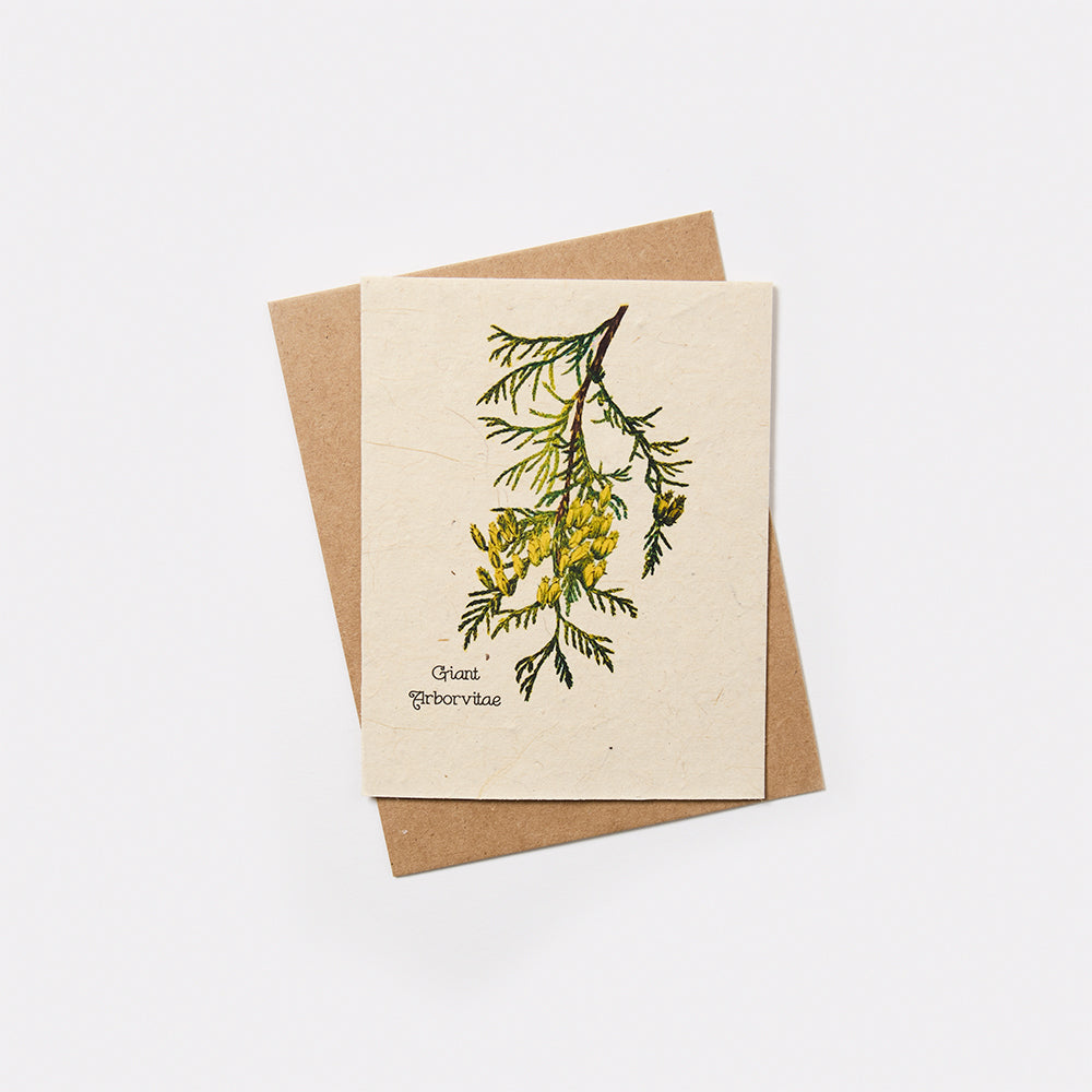 Plantable Wildflower Seed Card - Marissa Kay